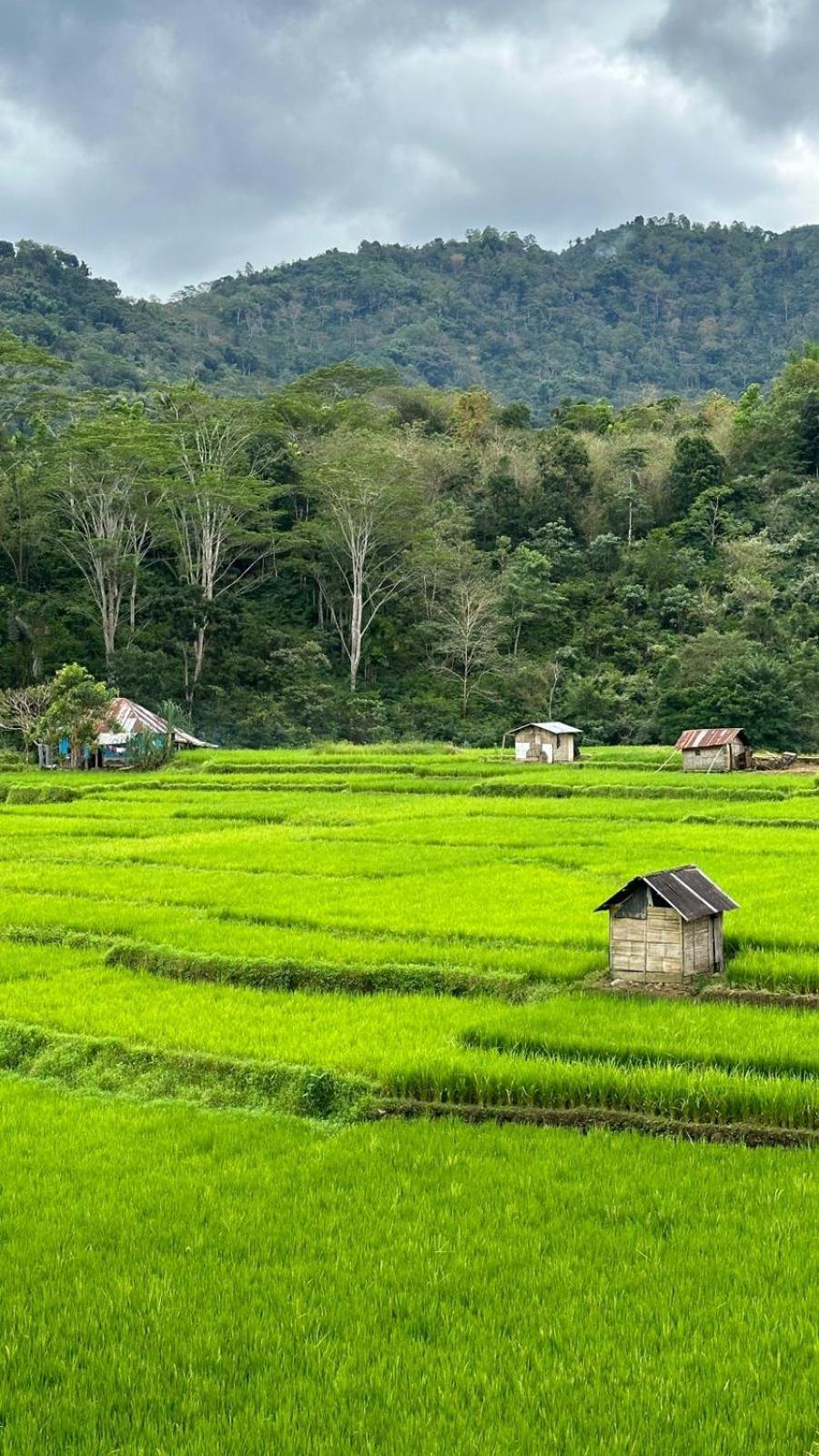 Petra Homestay Bangka Leda Ruteng Buitenkant foto